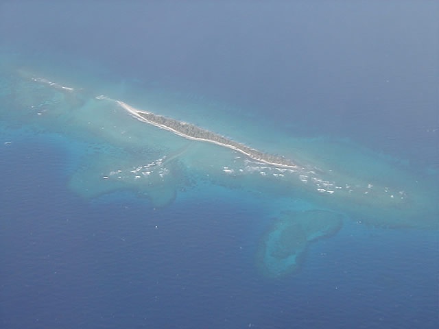 P1010016