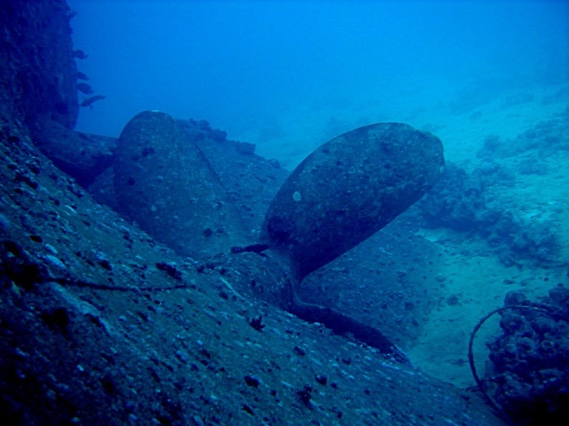 Pb090082