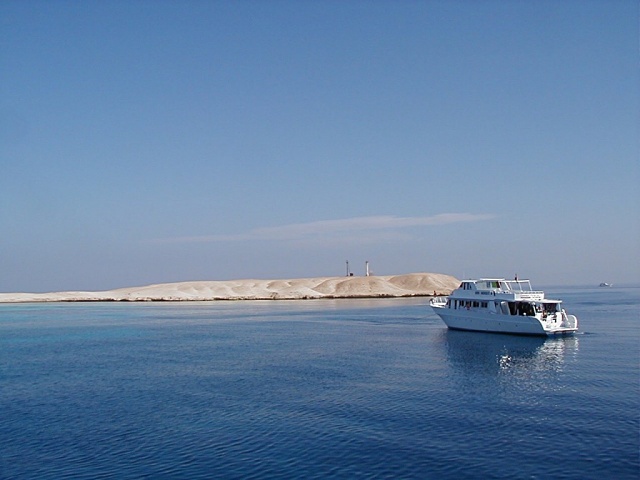 Pb100119