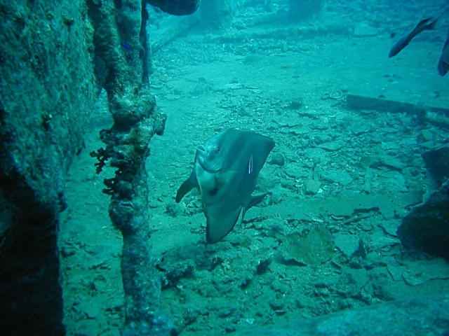 Pb120044