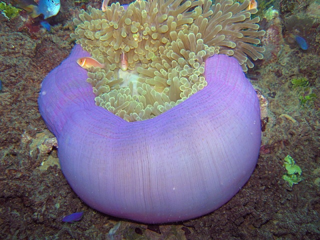Dscn0328
