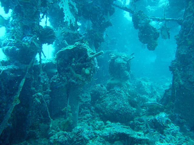 Dscn0360