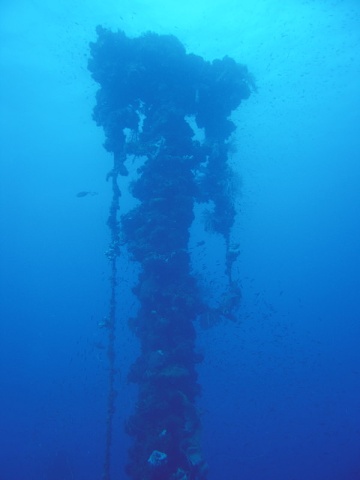 Dscn0432