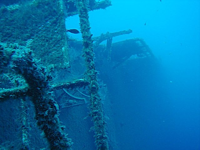 P1010021
