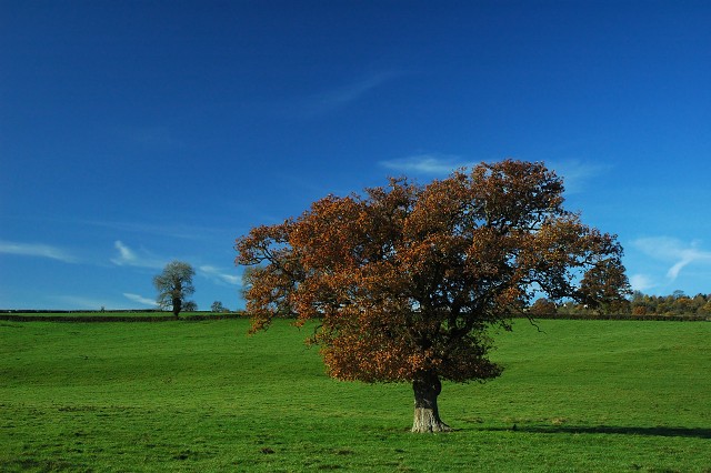 Dsc 2583