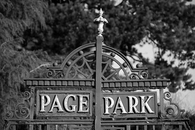 Dsc 2652-bw