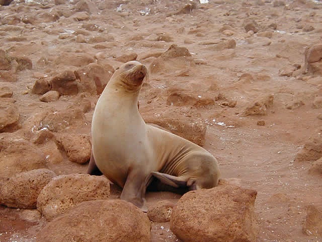 P1010043