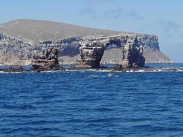P1010064
