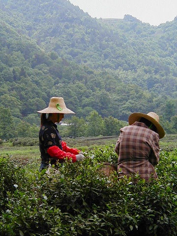 P1010261