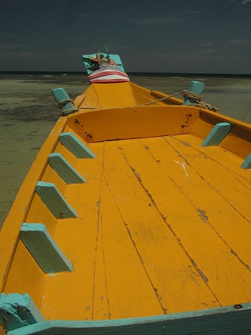 P7240088