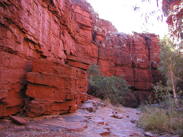 P8160085