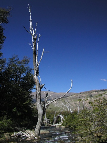 P1040021