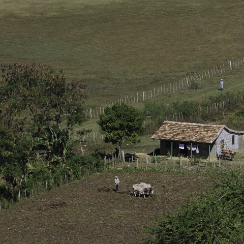 DSC 0766