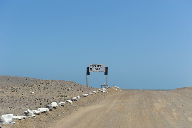 DSC 3604