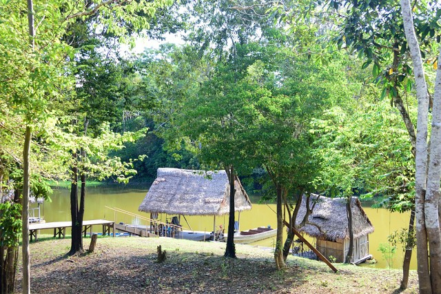 Munya Lodge, Amazon
