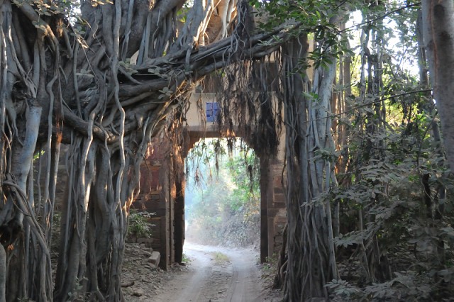 Ranthambore, Sawai Madhopur