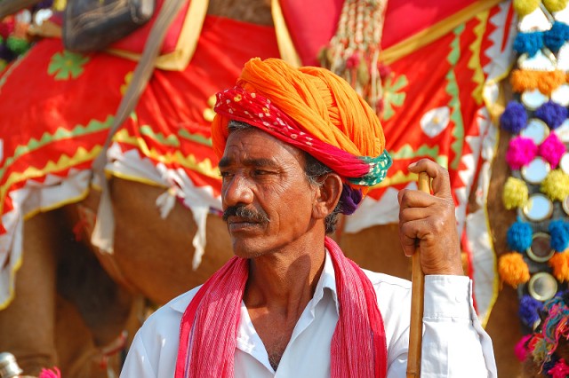 Bikaner Camel Festival