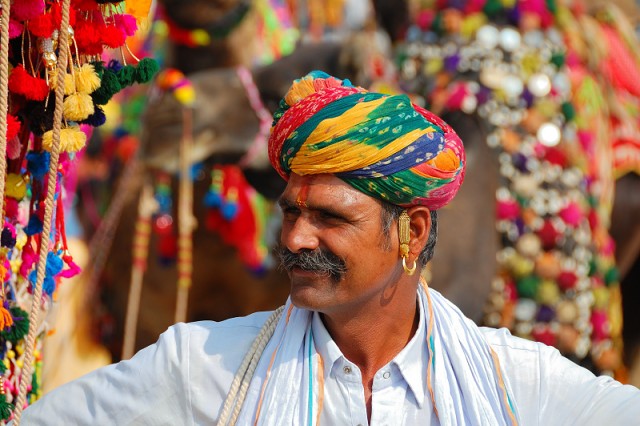 Bikaner Camel Festival