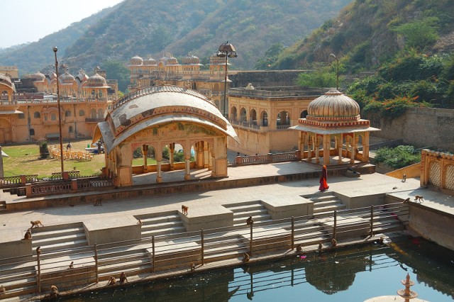 Monkey Temple, Jaipur