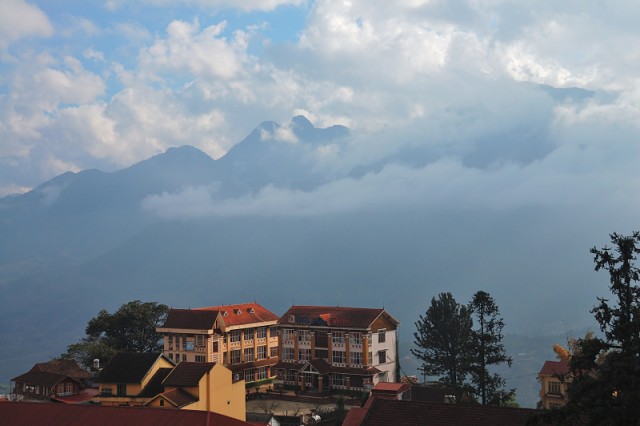 Sapa