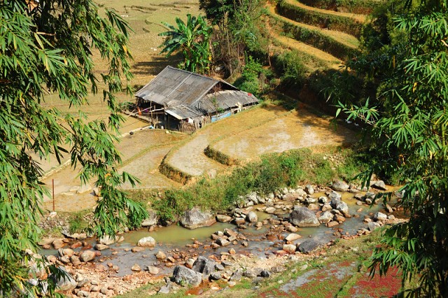 Sapa