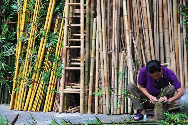 Hanoi Street