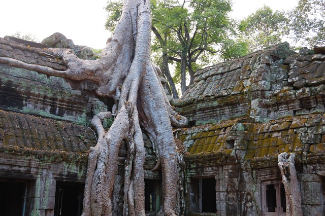 Ta Prom, Siem Reap