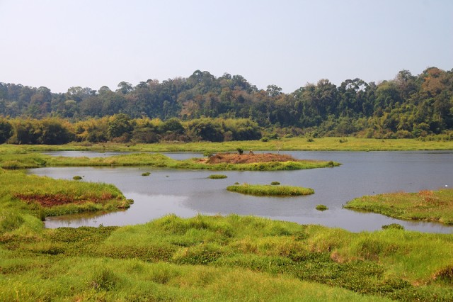 Crocodile Lake, Cát Tiên