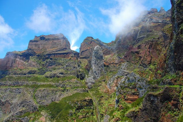 DSC 8555