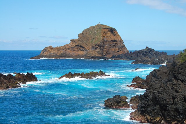 DSC 8601